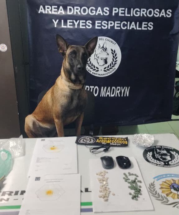 La Policía del Chubut desarticuló una organización dedicada al tráfico de drogas sintéticas tras una investigación de cinco meses